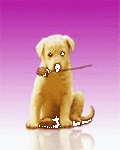 pic for Rose Dog